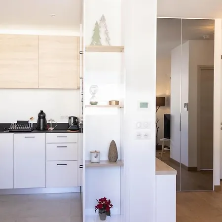 Le Sapinou, Vue Lac, Vieille Ville, Garage Appartement *